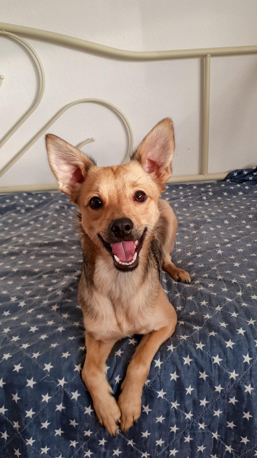 Nela