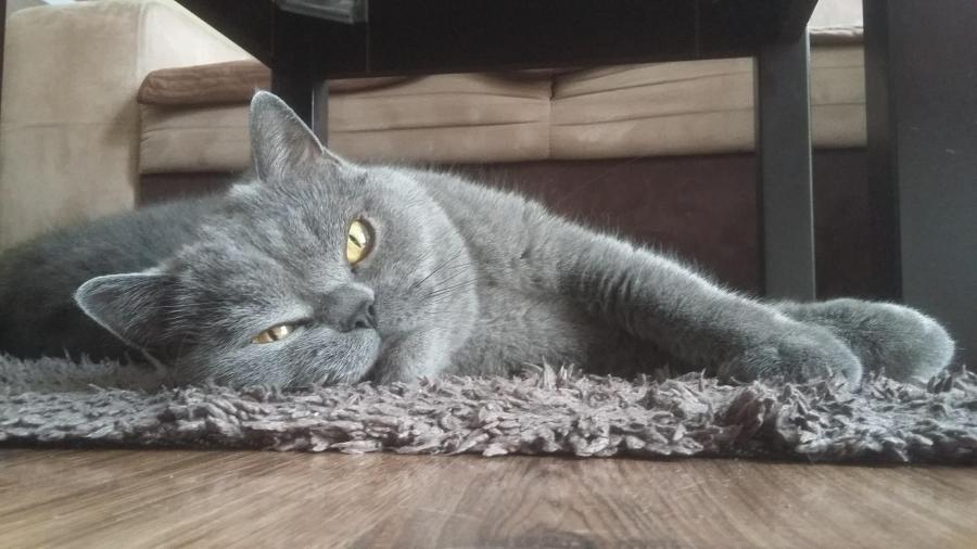 Demon