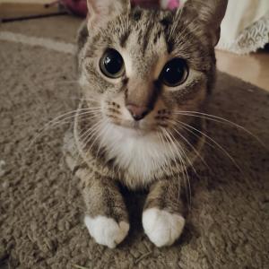 Kiara