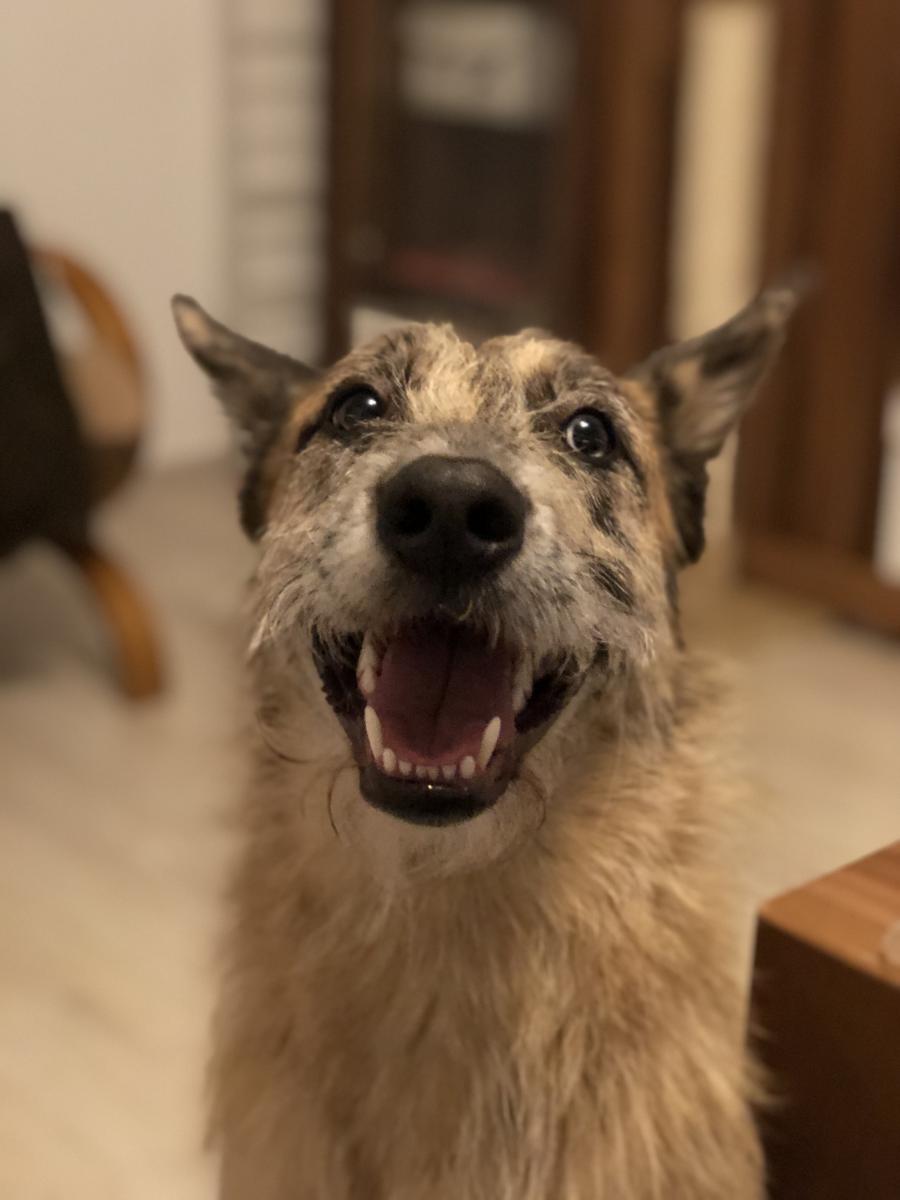 Ragnar