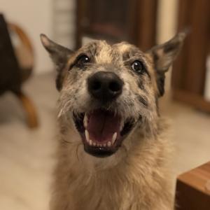 Ragnar