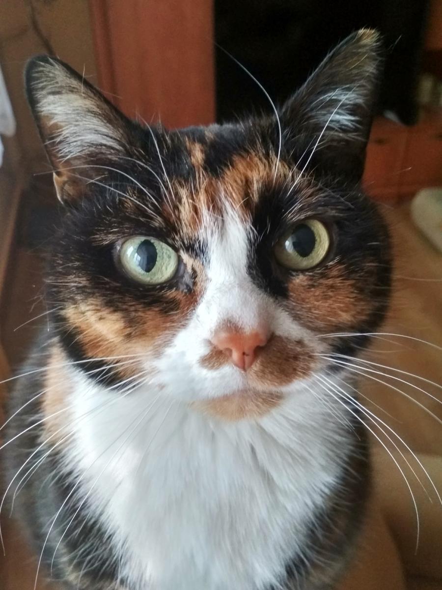 Rubinka