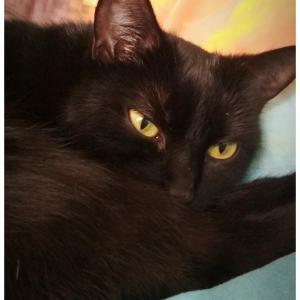 Luna