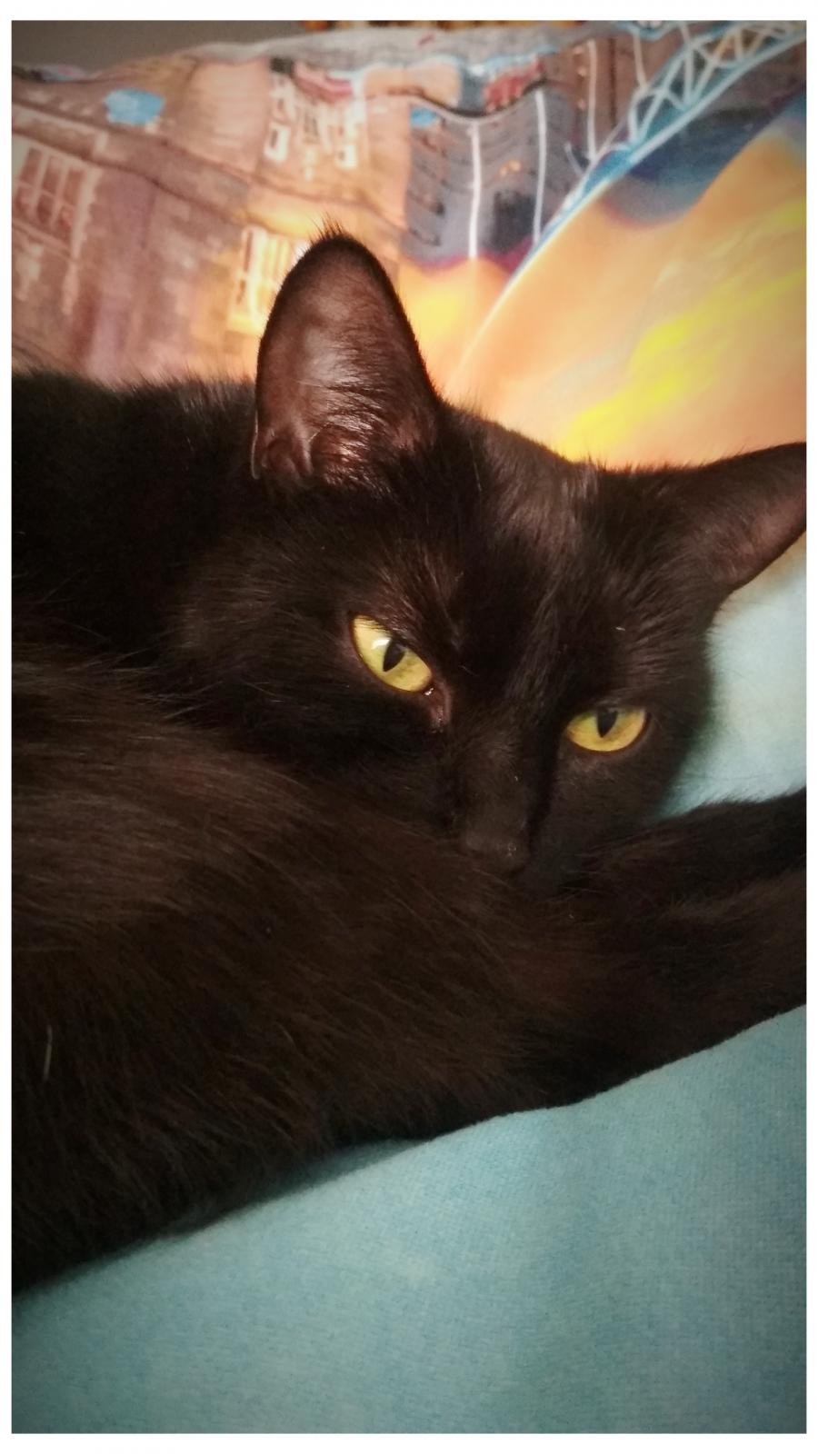 Luna