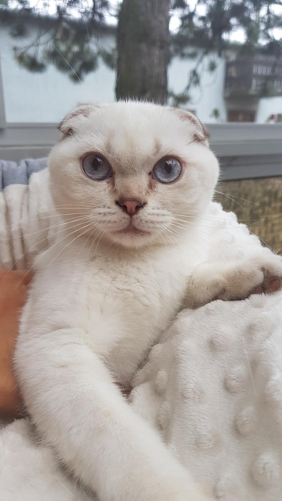 Lili