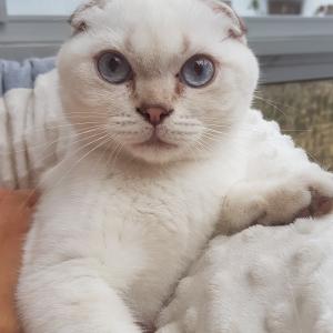 Lili