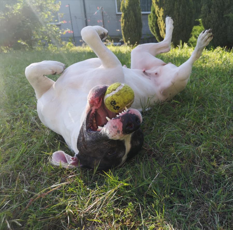 Luna