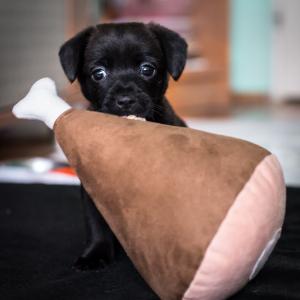 Charlie