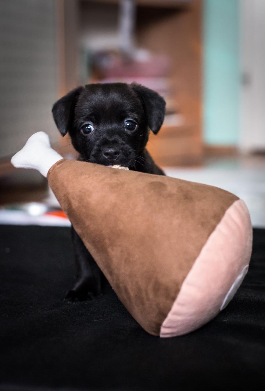 Charlie