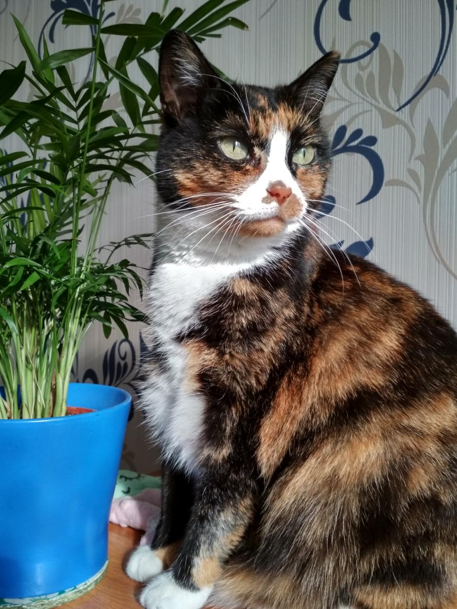 Rubinka