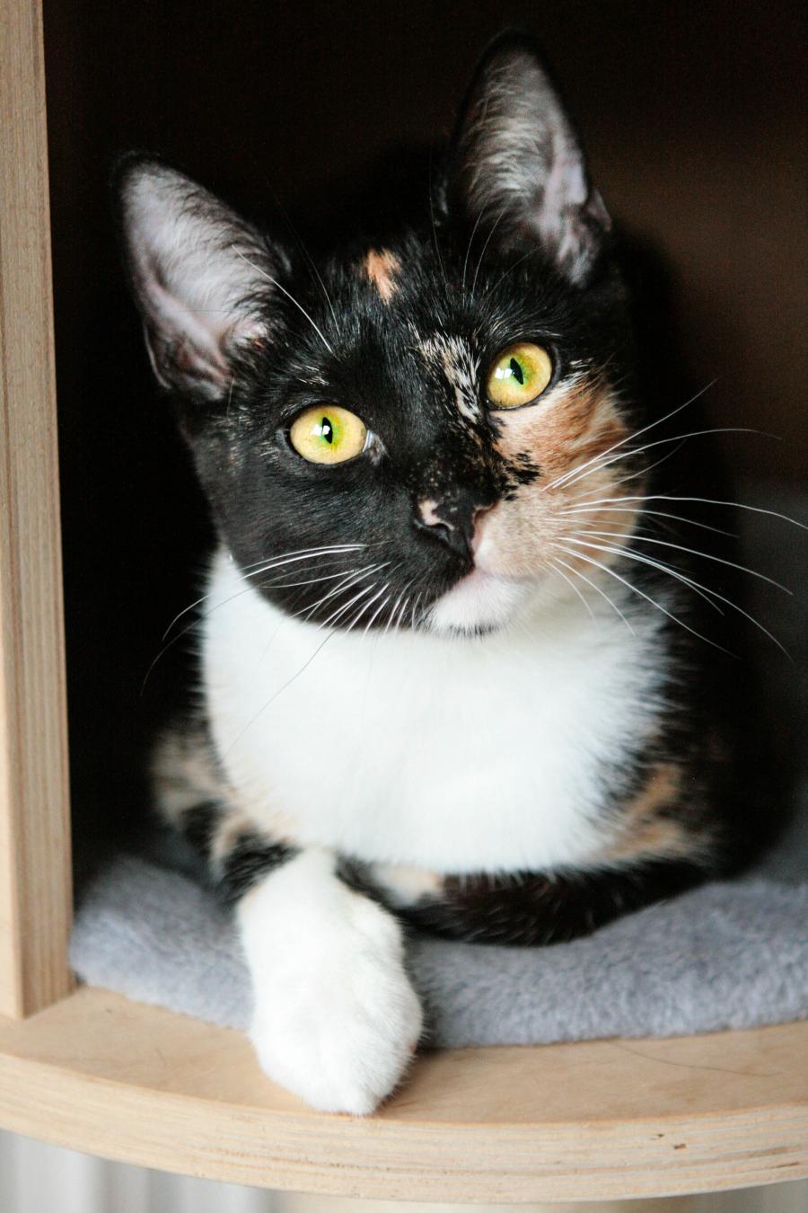 Fiona