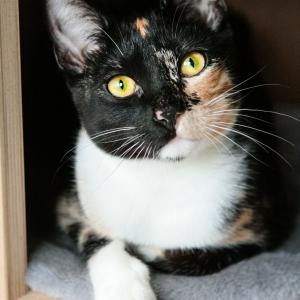Fiona