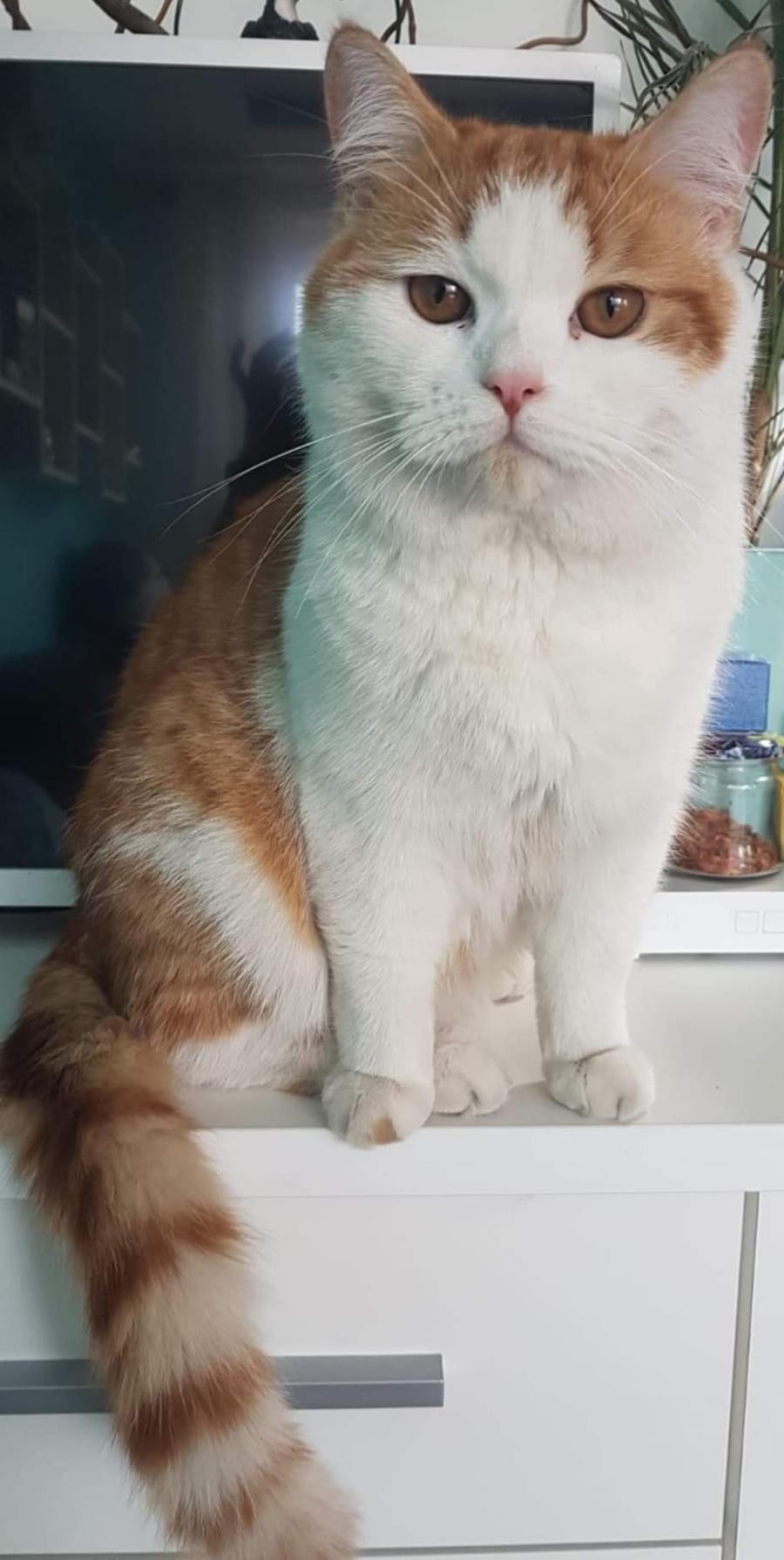Alex