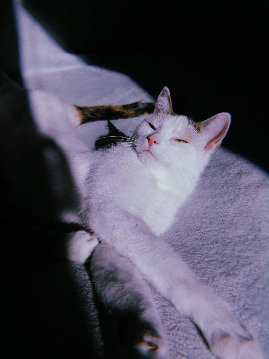 Mika