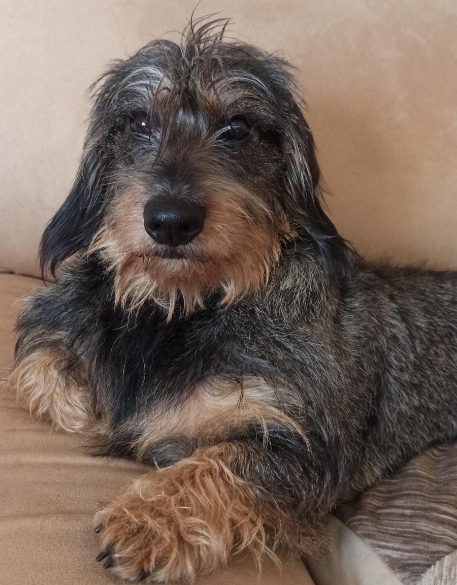 Kaja