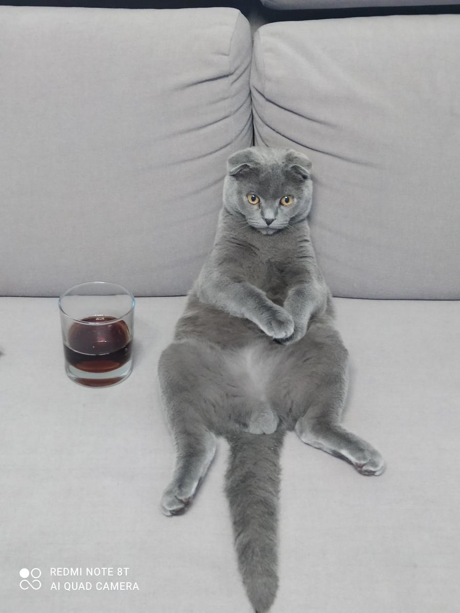 Borys