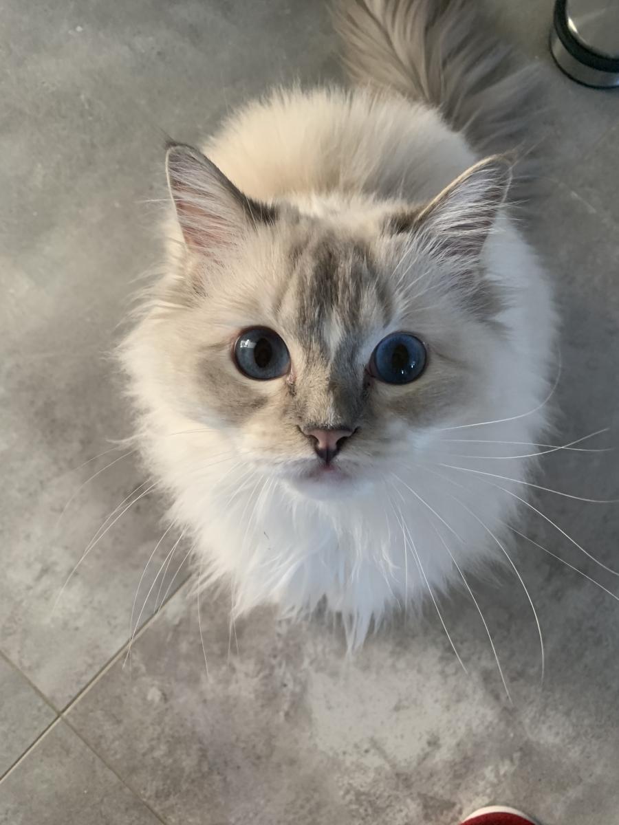 Lucy
