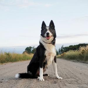 Kira