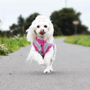 Lili