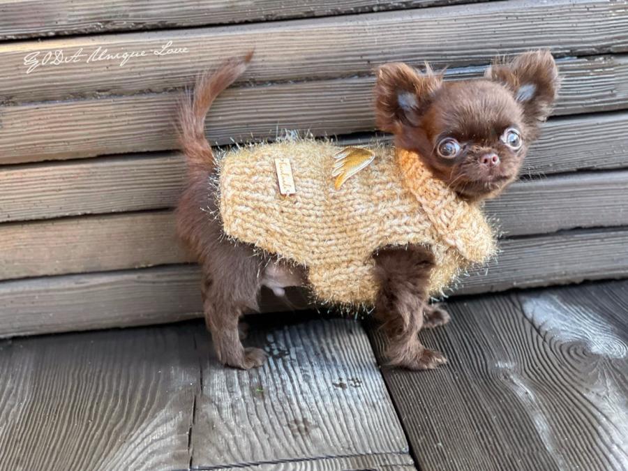 Yoda 