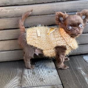 Yoda 