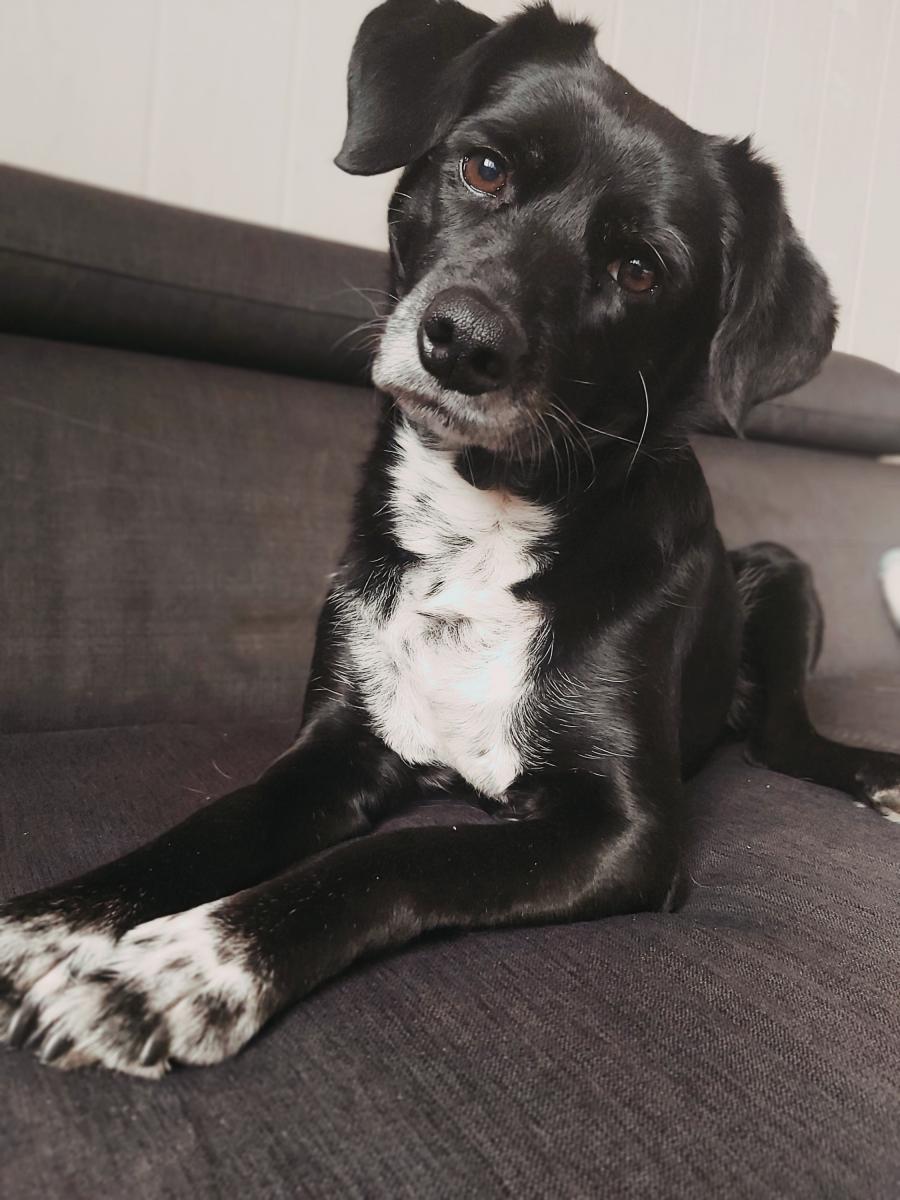 Balbina