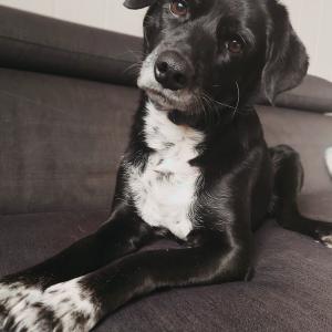 Balbina