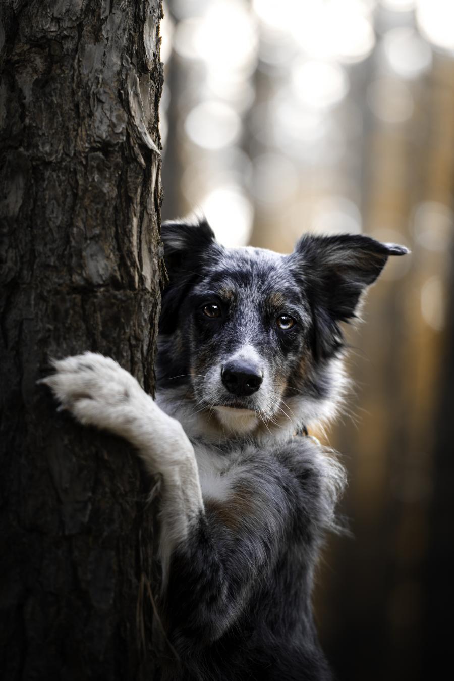 Gina