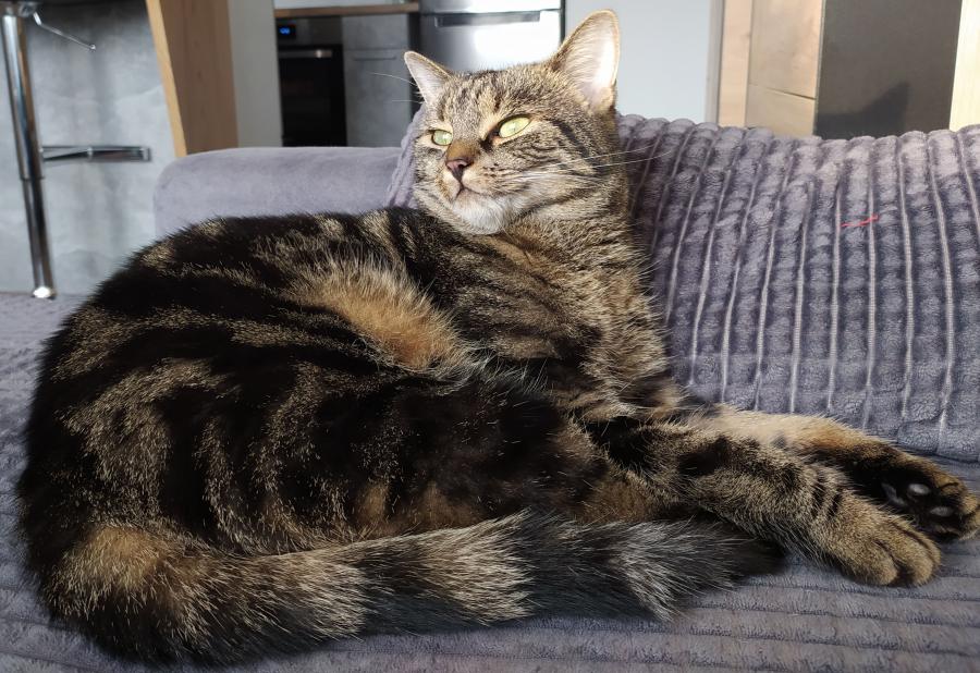 Luna