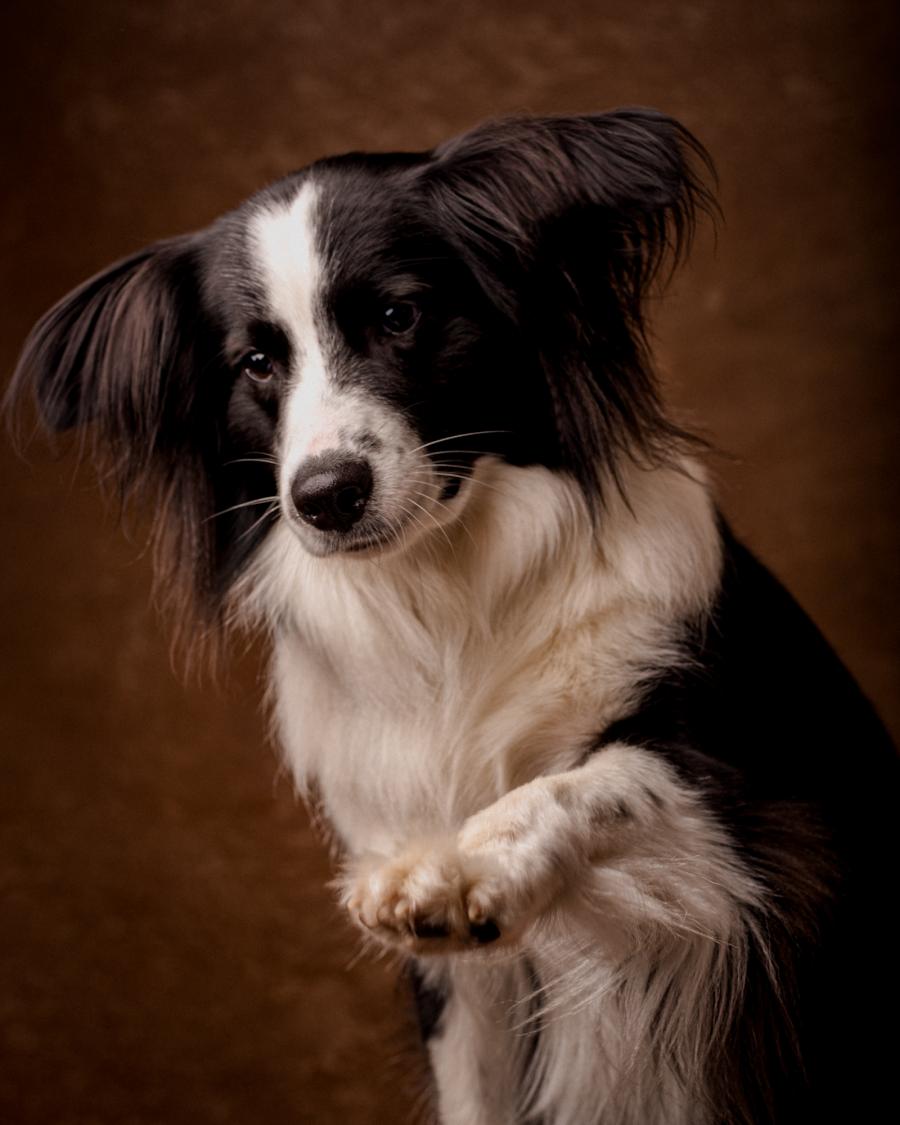 Balu