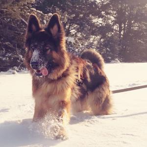 Roxy