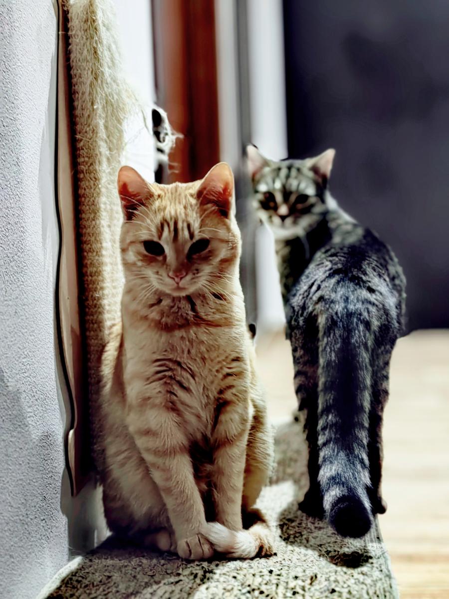 Beza&Nala