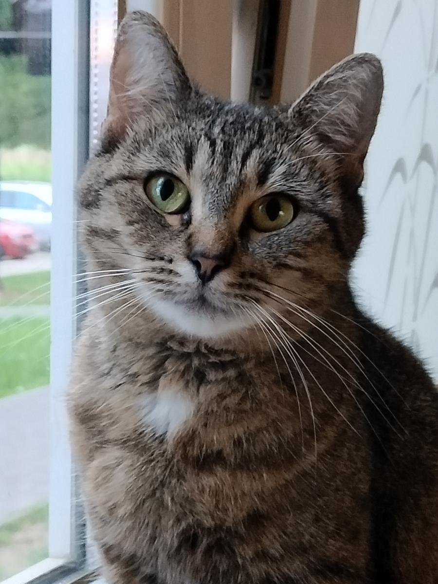 Kluseczka 