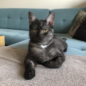 Lusia