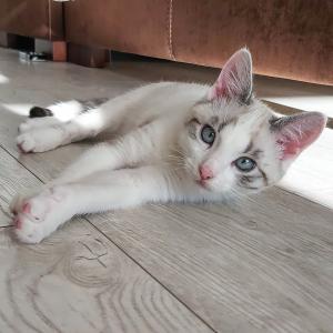 Filemon