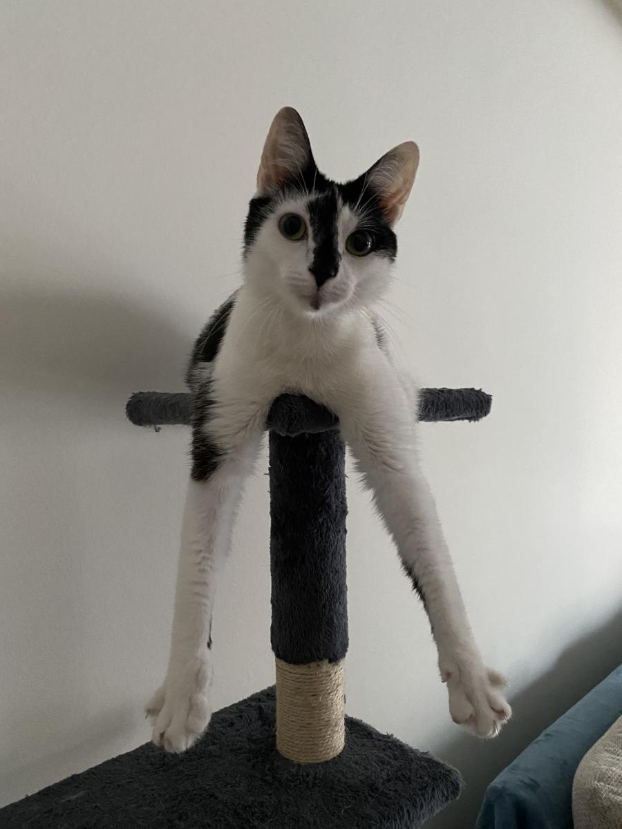 Rubi