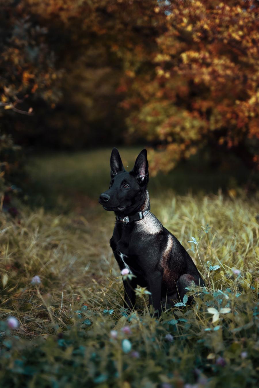 Hiro
