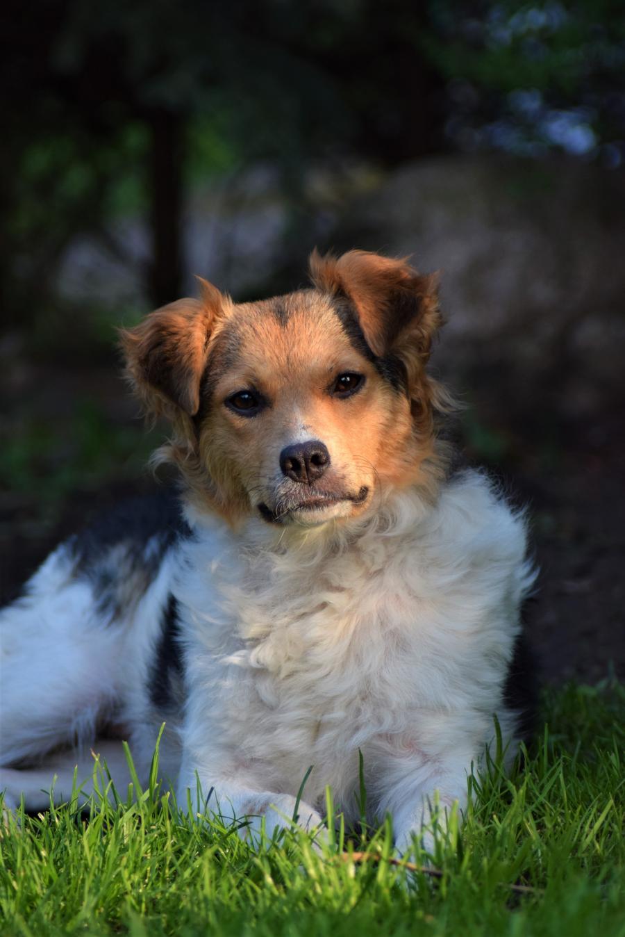 Bella
