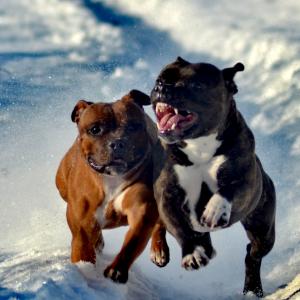 Gaba&Lex