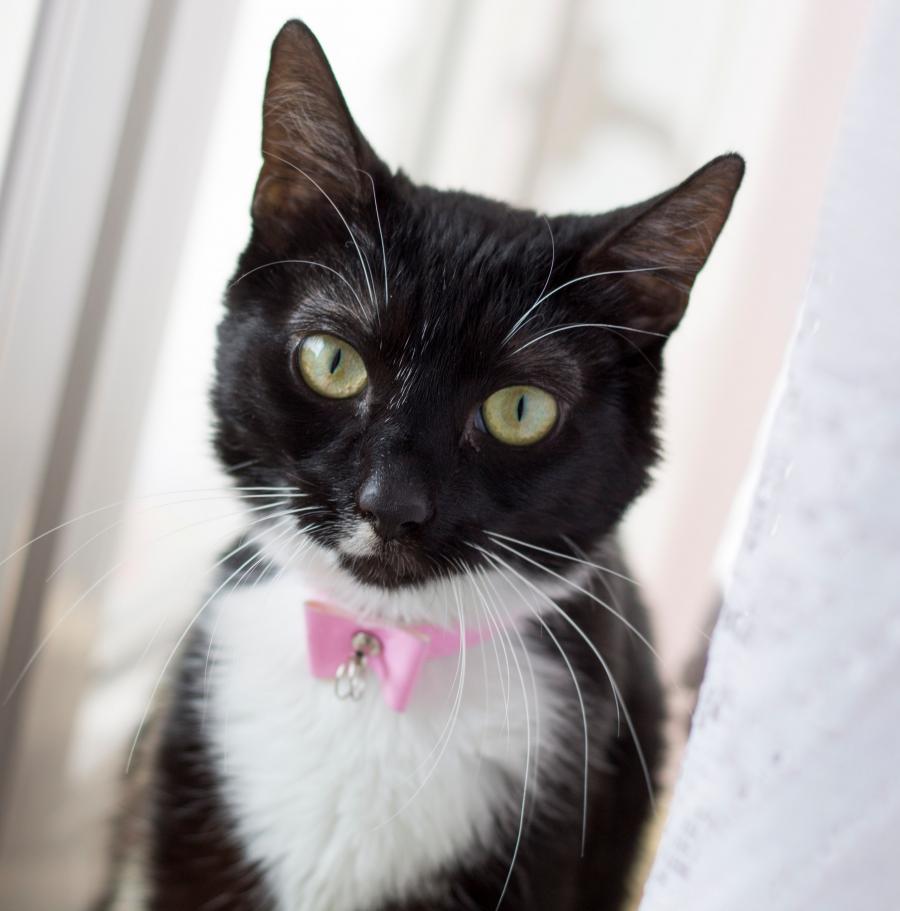 Zoey