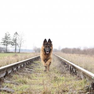 Ragnar 