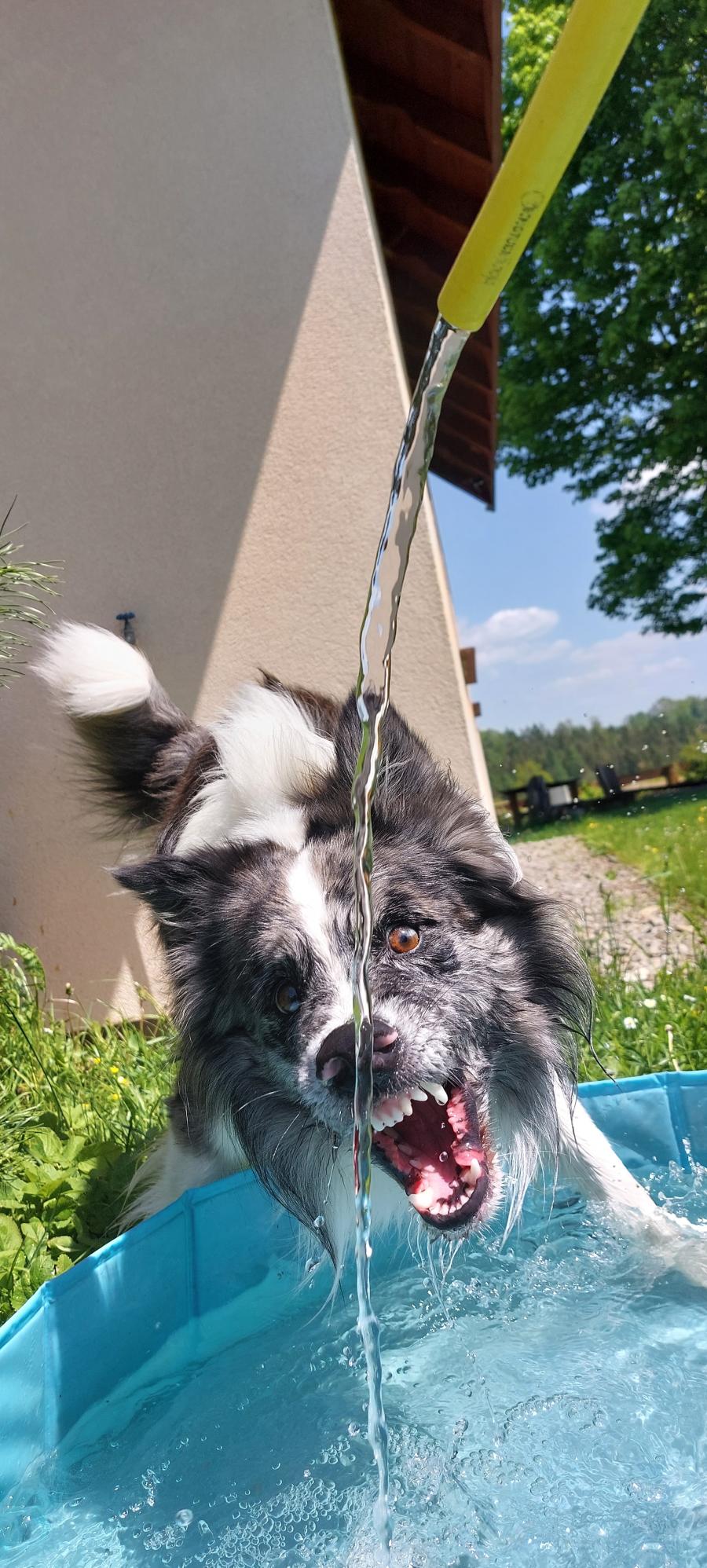 Paco
