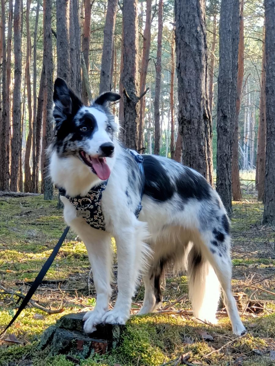 Lucy