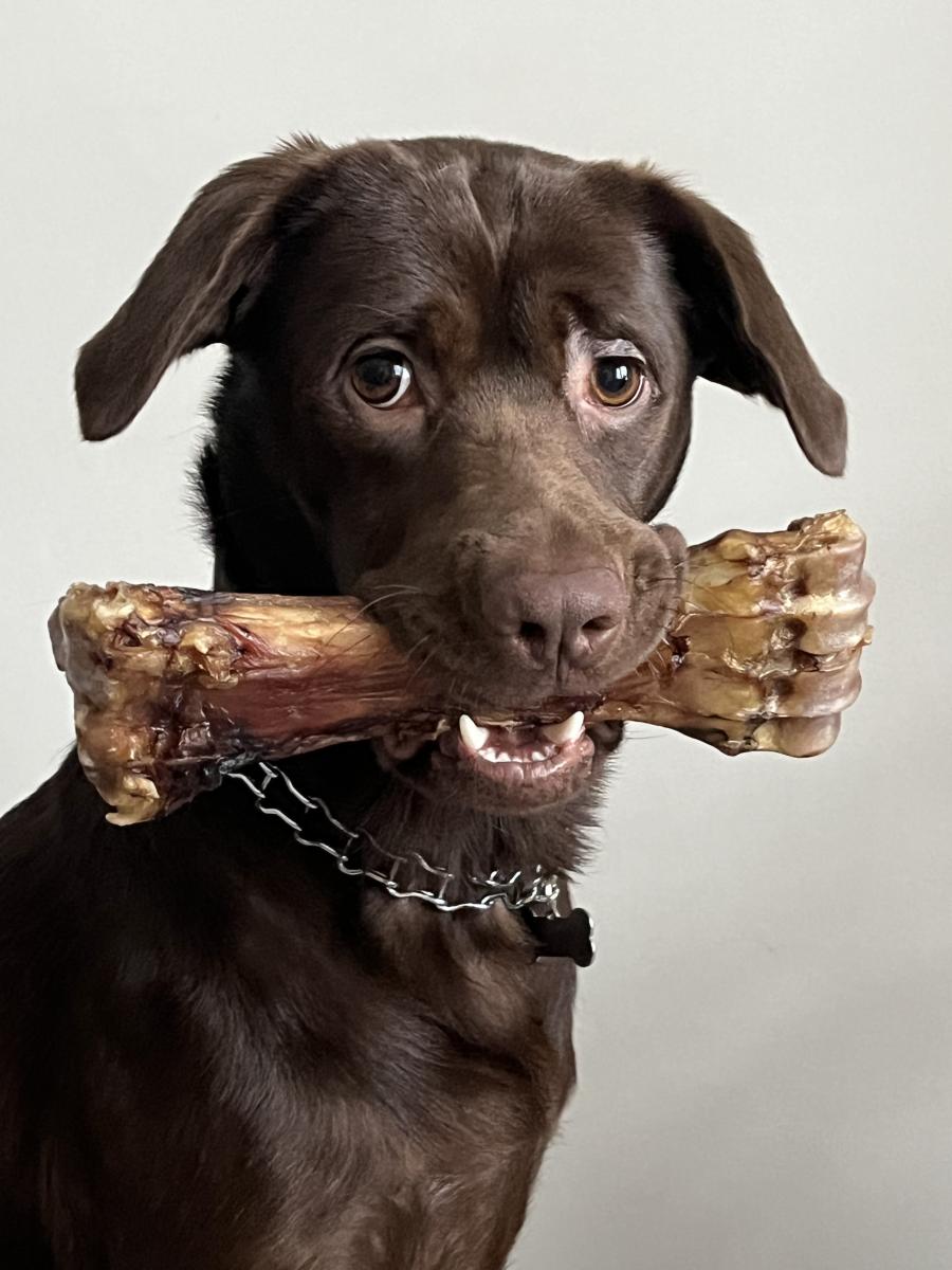 Enzo