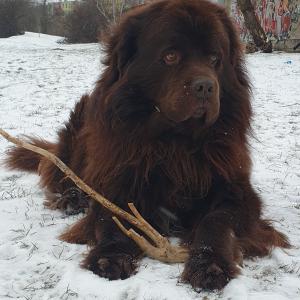 Aion 