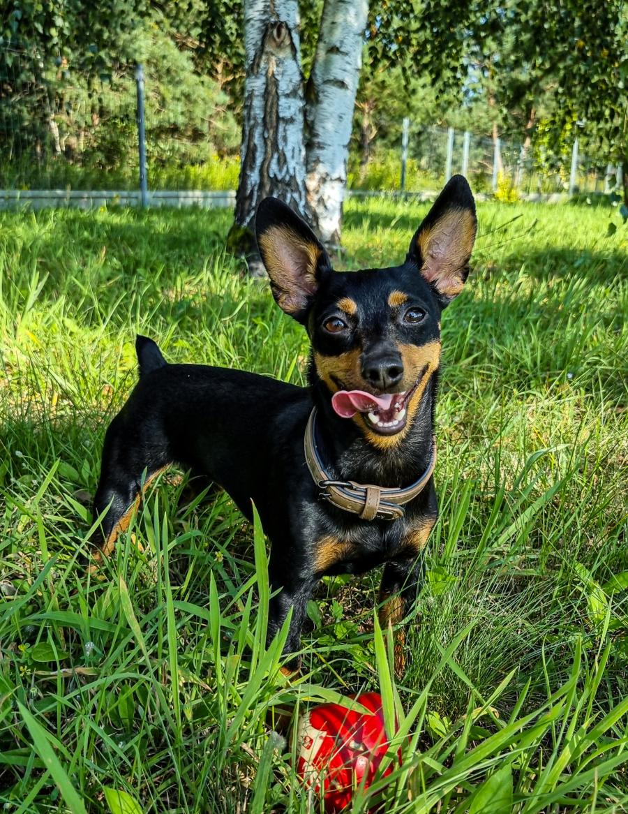 Molly