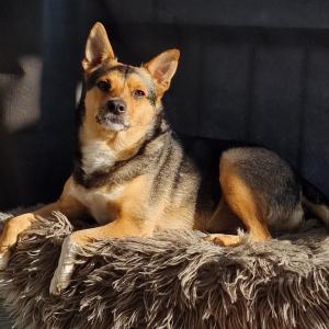 Lilo