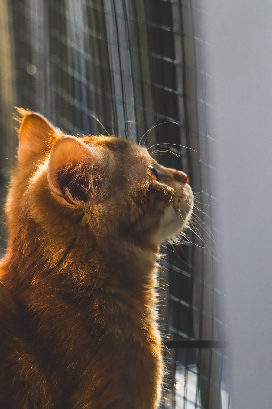 Rusty