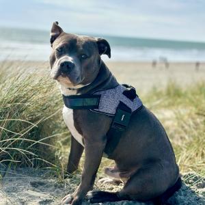 Jax