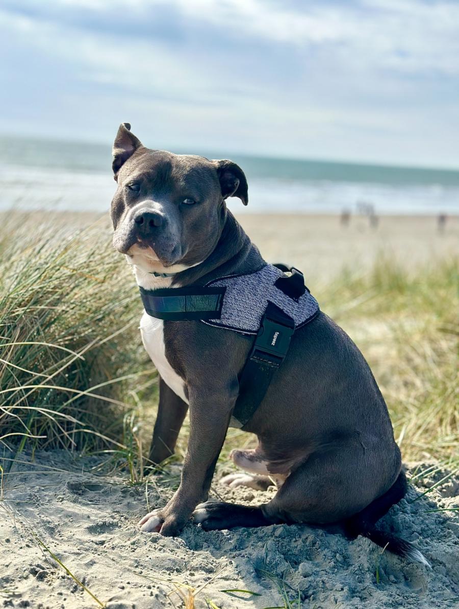 Jax